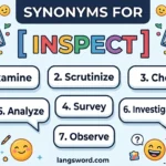 synonyms for inspect